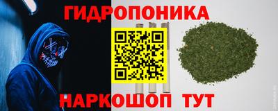 apvp Обнинск