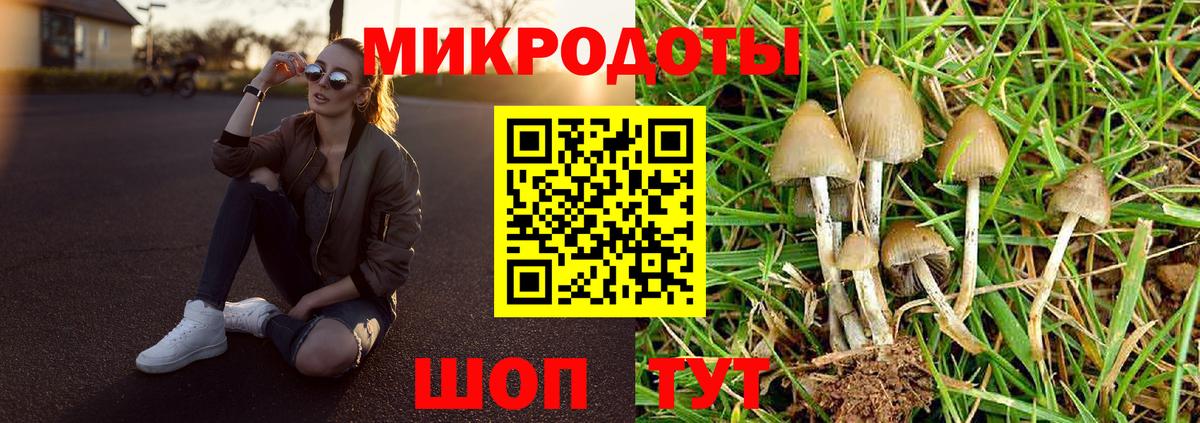 Галлюциногенные грибы GOLDEN TEACHER  Вход с VPN  Псилоцибиновые грибы мицелий  Анжеро-Судженск 