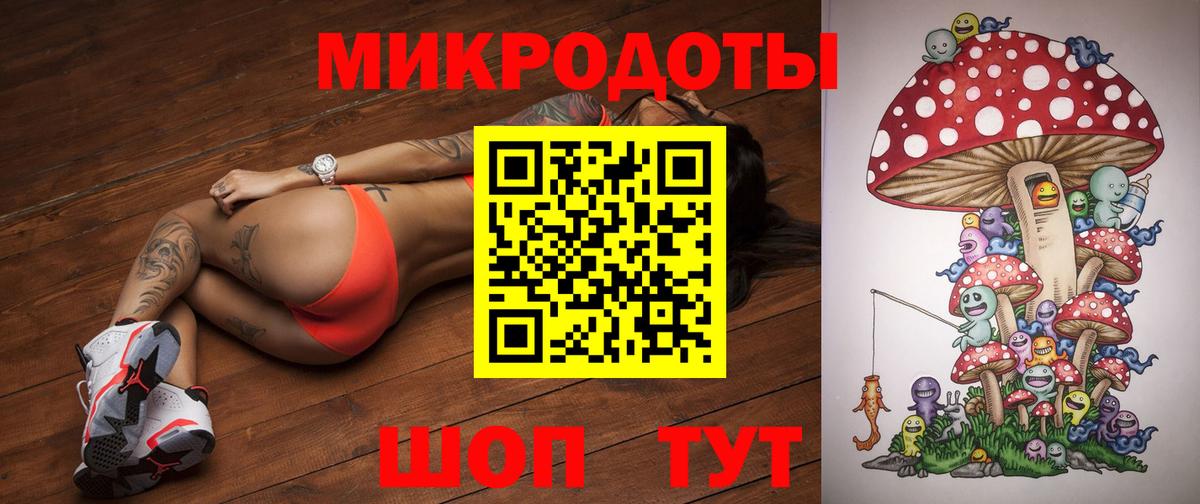 Галлюциногенные грибы Psilocybine cubensis Анжеро-Судженск